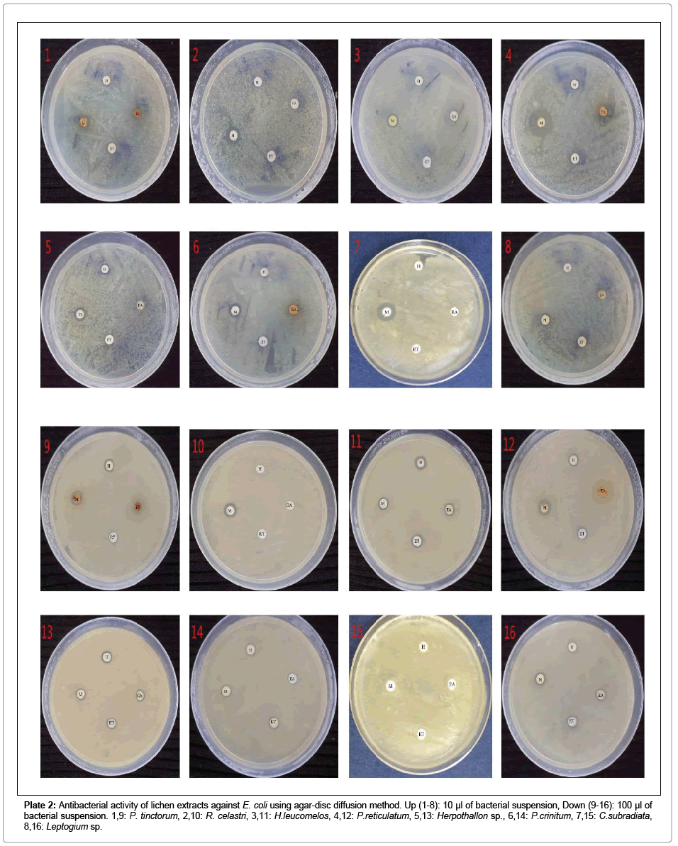 Pdf Principles Of Assessing Bacterial Susceptibility To Antibiotics Using The Agar Diffusion Method